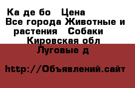 Ка де бо › Цена ­ 25 000 - Все города Животные и растения » Собаки   . Кировская обл.,Луговые д.